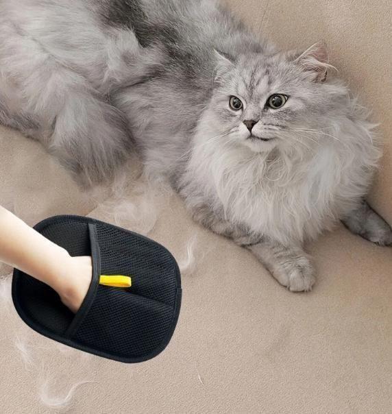 Dazzip Pet Hair Removal Gloves (Pack of 2 | Reusable Grooming & Cleaning Gloves)